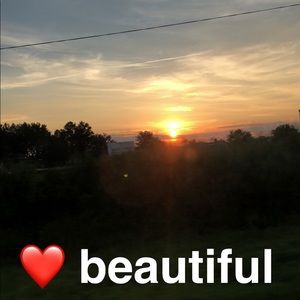 Meet your Posher, Shelby